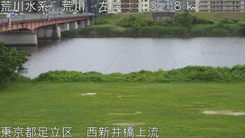 arani2026062314_image