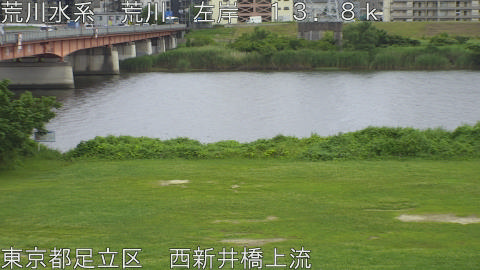 arani2026062315_image