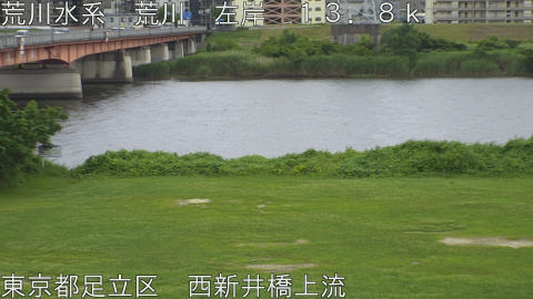 arani2026062316_image