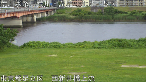 arani2026062317_image
