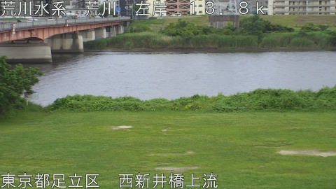arani2026062318_image