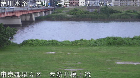 arani2026062319_image
