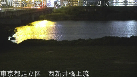 arani2026062321_image