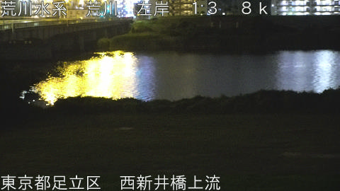 arani2026062401_image