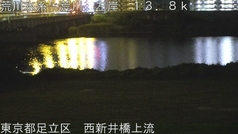 arani2026062403_image