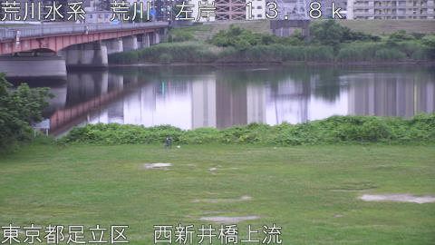 arani2026062405_image