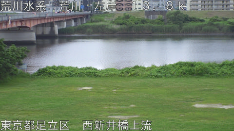 arani2026062406_image