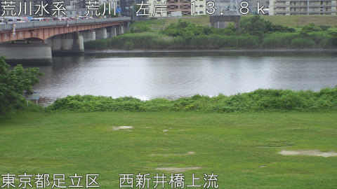 arani2026062407_image