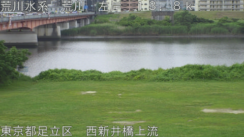 arani2026062408_image