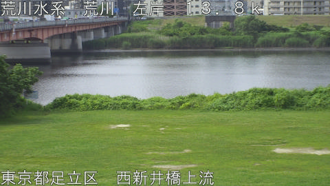 arani2026062409_image