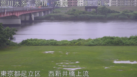 arani2026062506_image
