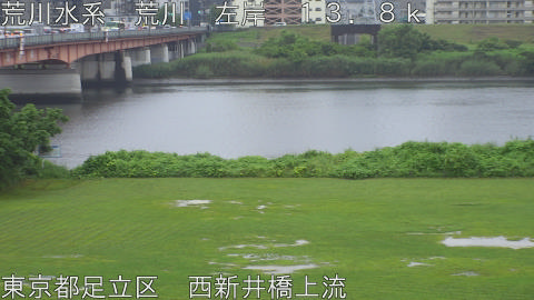 arani2026062507_image