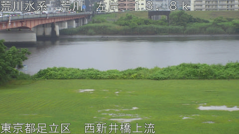 arani2026062508_image
