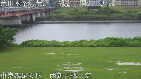 arani2026062509_image
