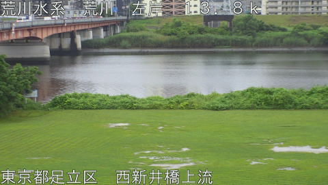 arani2026062510_image
