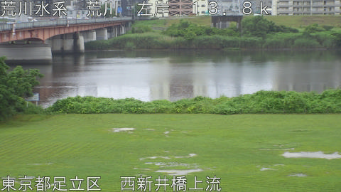 arani2026062512_image