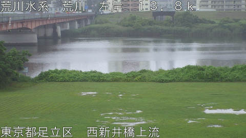 arani2026062513_image