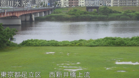 arani2026062514_image