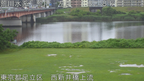 arani2026062515_image