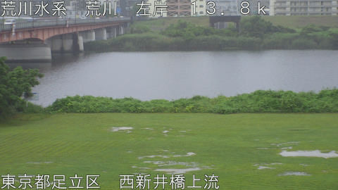 arani2026062516_image