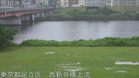 arani2026062517_image