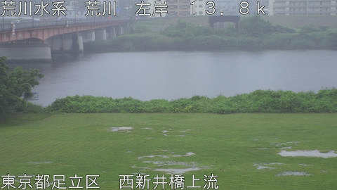 arani2026062518_image