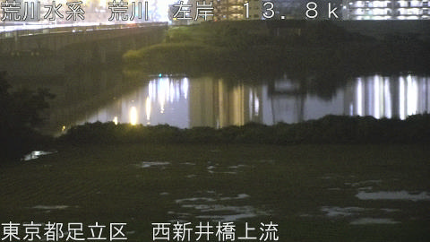 arani2026062521_image
