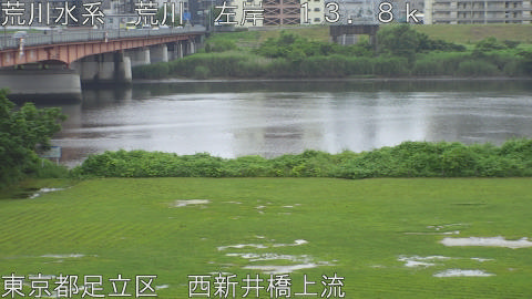 arani2026062612_image