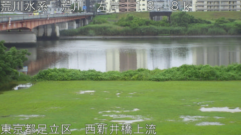 arani2026062712_image