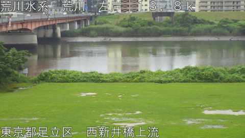 arani2026062912_image