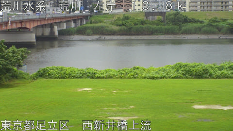 arani2026063012_image