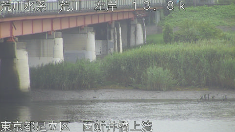 arani2026070212_image