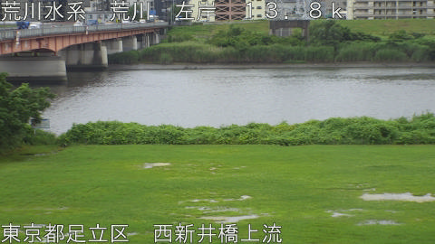 arani2026070312_image