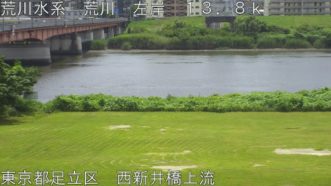 arani2026071112_image