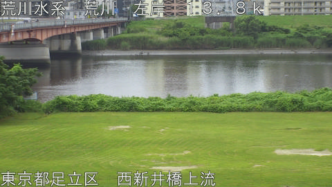 arani2026071212_image
