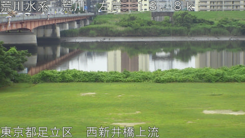 arani2026071312_image