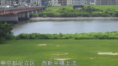 arani2026071512_image