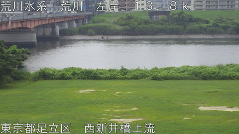 arani2026071612_image