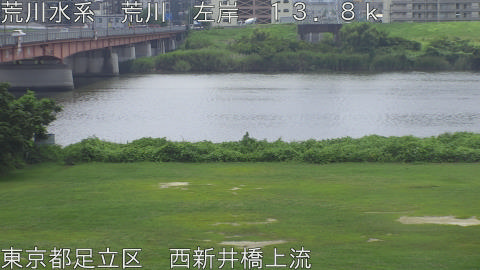 arani2026072312_image