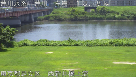 arani2026072512_image