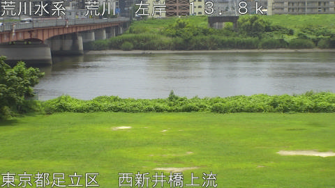 arani2026072612_image