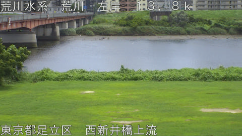 arani2026072912_image