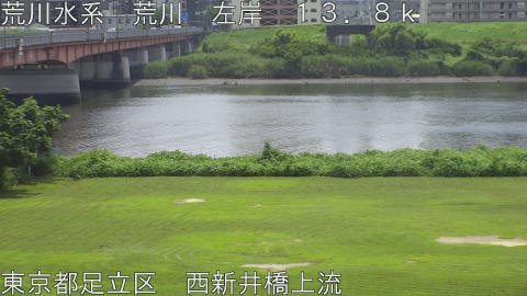 arani2026080112_image
