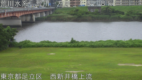 arani2026080312_image
