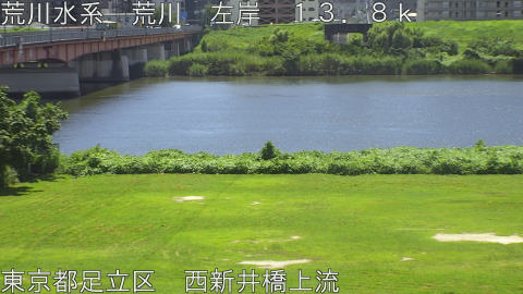 arani2026080812_image