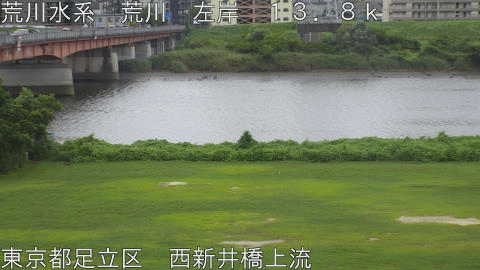 arani2026081112_image