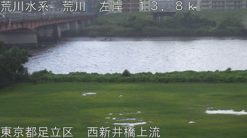 arani2026081212_image