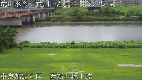 arani2026081312_image