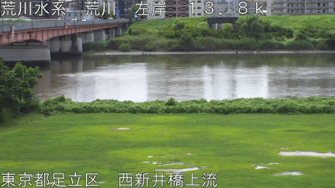 arani2026081412_image
