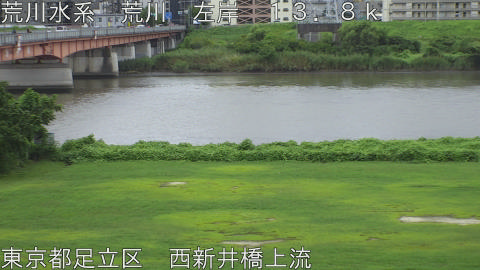arani2026081512_image